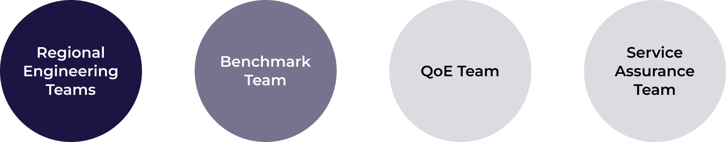 Cross-functional team structure